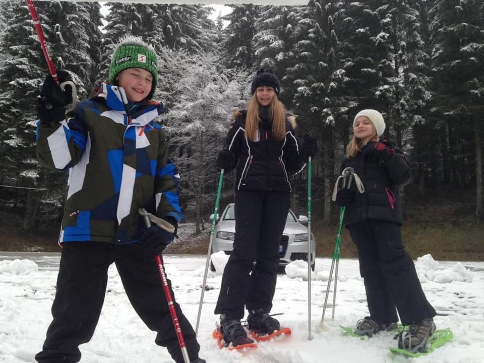 Chalet Spa Le Diamant Nathalie Mn La Rouge La Bresse Zewnętrze zdjęcie