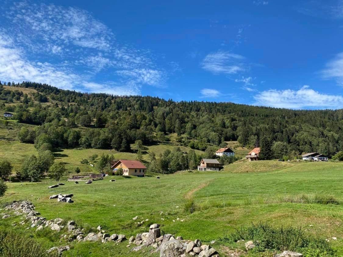 Chalet Spa Le Diamant Nathalie Mn La Rouge La Bresse Zewnętrze zdjęcie