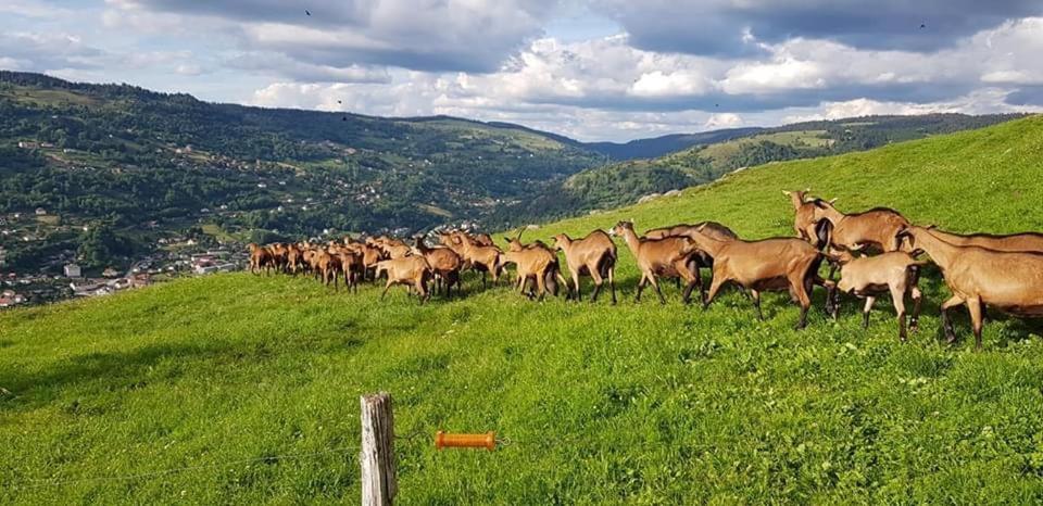 Chalet Spa Le Diamant Nathalie Mn La Rouge La Bresse Zewnętrze zdjęcie