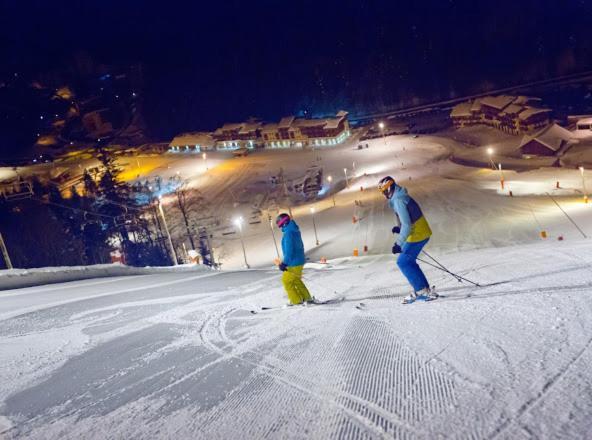 Chalet Spa Le Diamant Nathalie Mn La Rouge La Bresse Zewnętrze zdjęcie